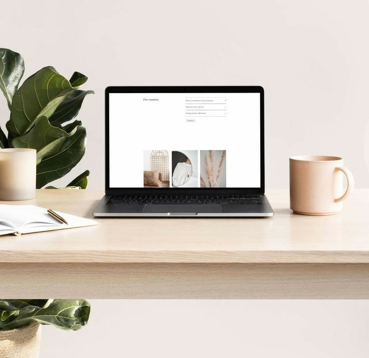 Consultation service